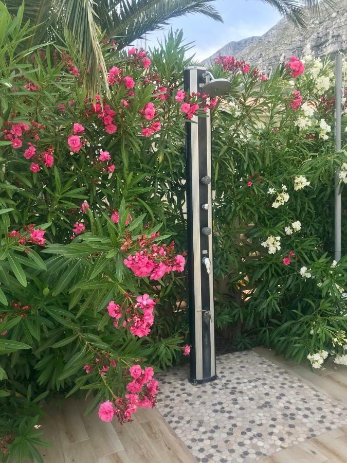 Villa Denia Costa Blanca Eksteriør bilde